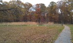 A trail leading through a field of fall foliage